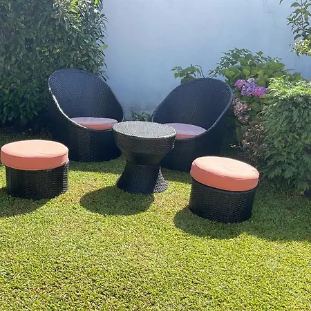 Casa Do Albano 维亚纳堡