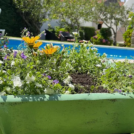 度假居 Casa Do Albano