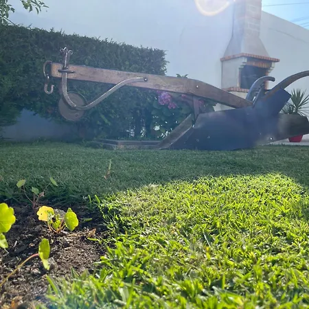 Casa Do Albano 维亚纳堡