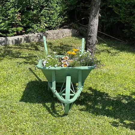 度假居 Casa Do Albano 维亚纳堡