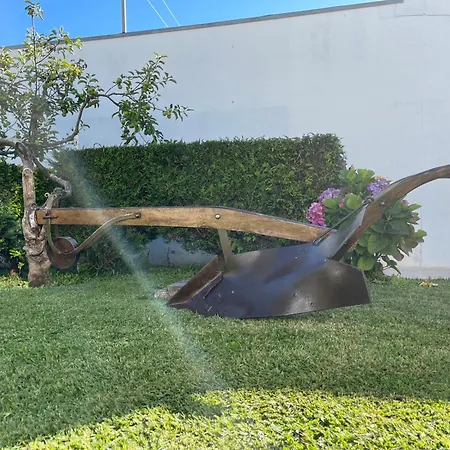 Casa Do Albano * 维亚纳堡