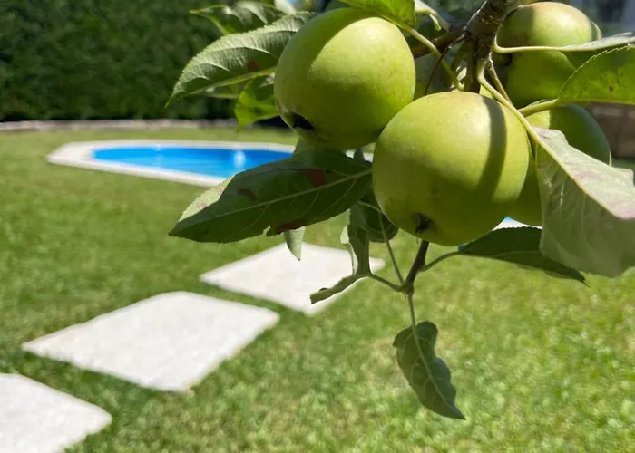 بيت للعطل Casa Do Albano فيانا دو كاستيلو