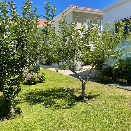 Hébergement de vacances Casa Do Albano Viana do Castelo