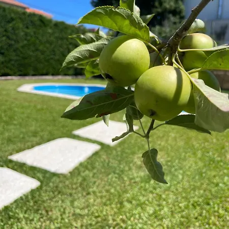 Сasa de vacaciones Casa Do Albano Viana do Castelo