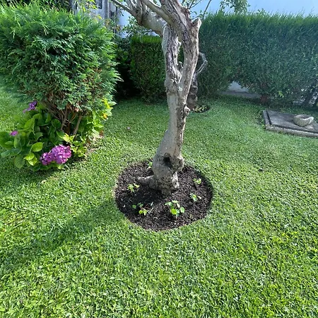 Casa Do Albano Ferienhaus