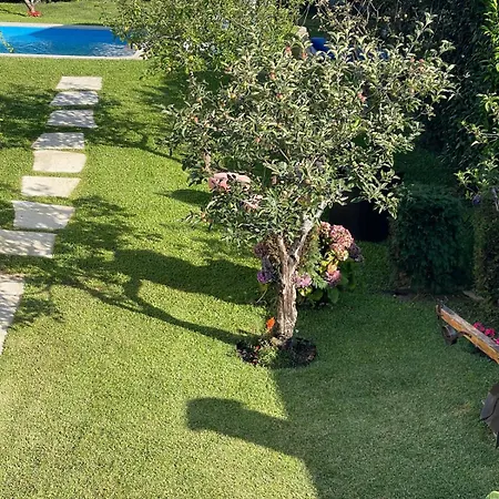 Hébergement de vacances Casa Do Albano Viana do Castelo
