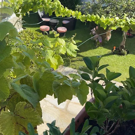 Casa Do Albano Viana do Castelo