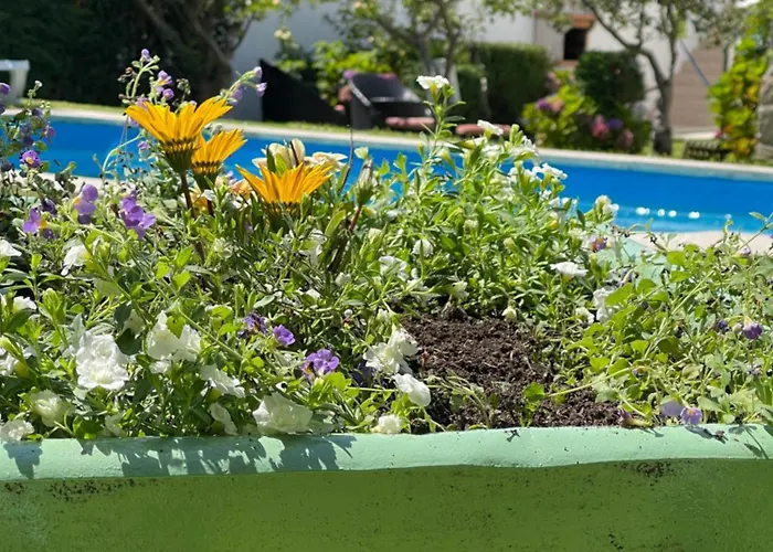 Casa vacanze Casa Do Albano