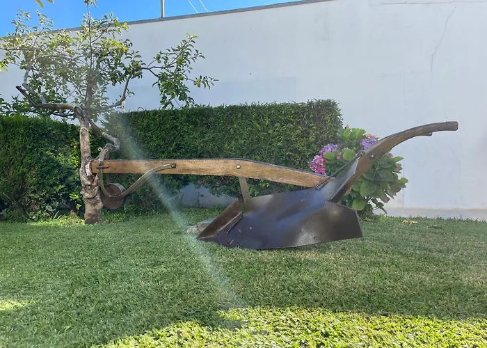 Casa Do Albano * Viana do Castelo