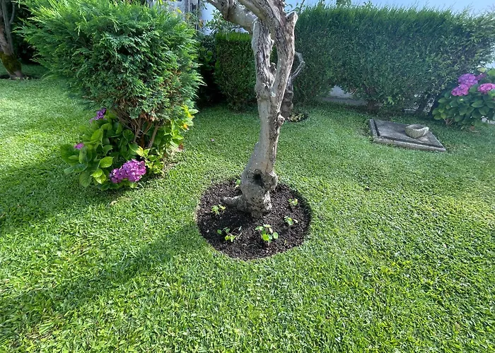 Casa Do Albano Semesterbostad