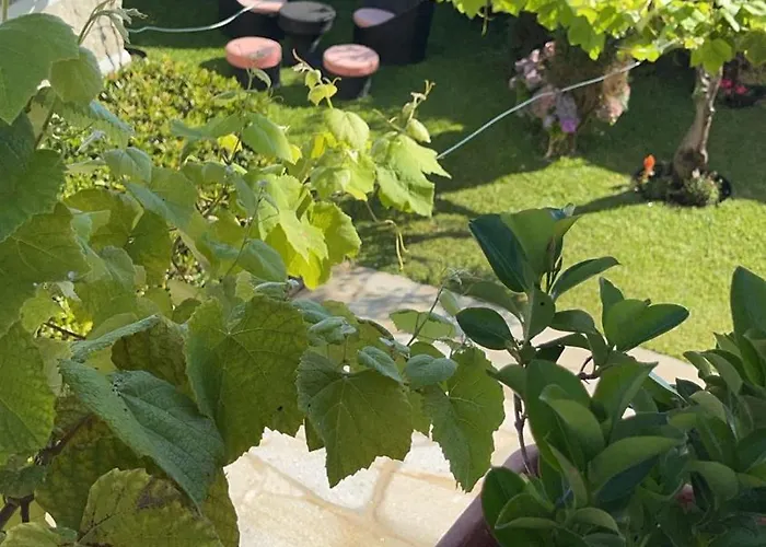 Casa Do Albano Viana do Castelo